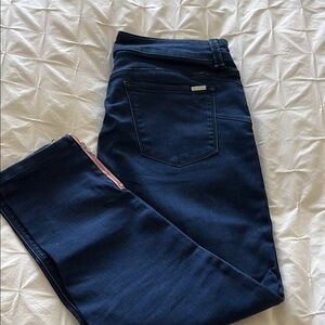 Melissa McCarthy Seven7 Blue Skinny Jeans
